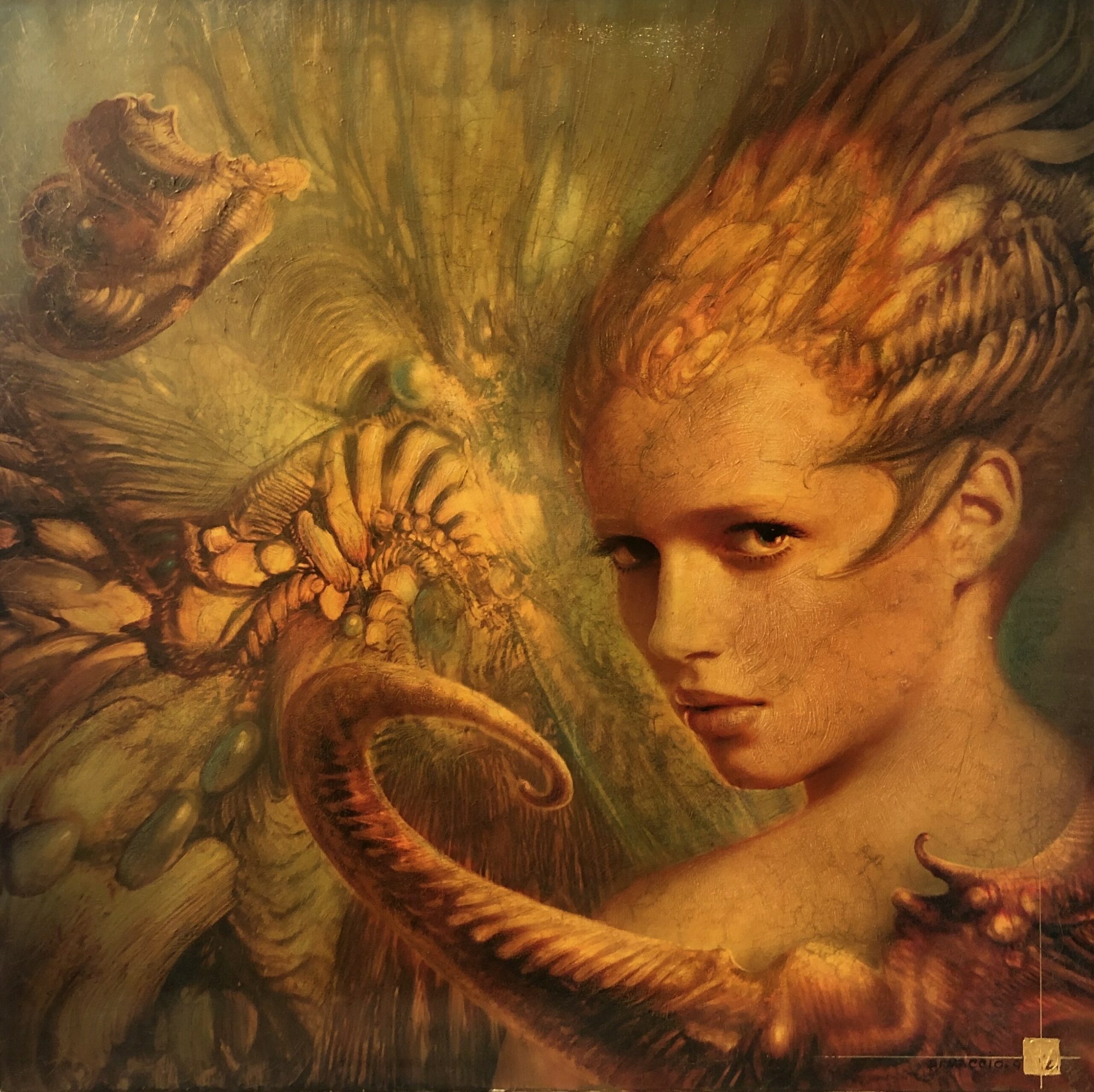 Gerard Di-Maccio: The Surrealism of Beauty - Exhibition - IX